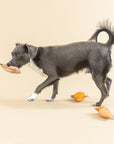 Petshop by Fringe Studio - WE CAME WE SAUR CANVAS MINI DOG TOY SET
