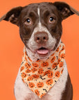 The Paws - Pupkin Halloween Dog Bandana