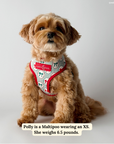 Lucy & Co. - Wrap it Up Reversible Harness