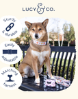 Lucy & Co. - Take a Bow Collar: S