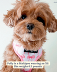 Lucy & Co. - Take a Bow Reversible Harness: S