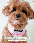 Lucy & Co. - Take a Bow Reversible Harness: L
