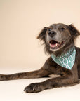The Paws - Tennis Dog Bandana