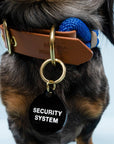 Freshwater Curated Goods™ - Security System Pet Tag