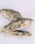 Happy Trout Pet Treats - Little Trout