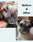 Nonipup Calm Balm