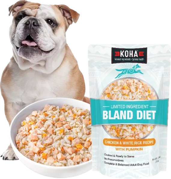 Koha Bland Diet Pouches The Modern Dog Company Store