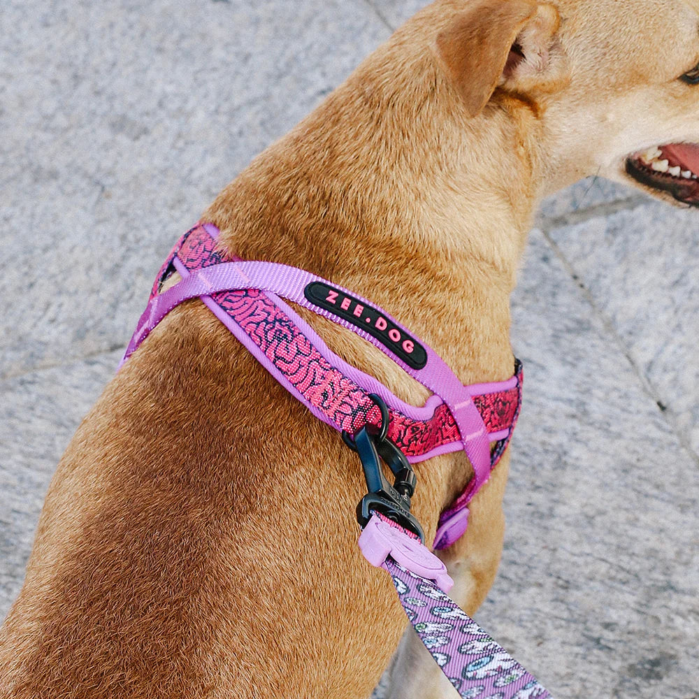 Zee.Dog SofterWalk Harness - Brain – The Modern Dog Company Store Zee.Dog SofterWalk Harness - Brain – The Modern Dog Company Store