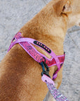 Zee.Dog SofterWalk Harness - Brain
