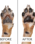 Clean Coats - Dog Moisturizing Serum for Paws & Noses - Fast Absorbing