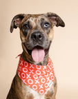 The Paws - XO Dog Bandana