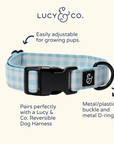 Lucy & Co. - Hippity Hoppity Collar