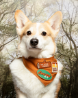 Scout's Honour Pty Ltd - Big Stick Energy iron-on patch for pets