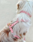 SUNNY TAILS - Perfect Pink Waterproof Dog Collar: LARGE