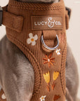 Lucy & Co. - Chocolate Meadows Corduroy No-Pull Harness