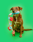 the furryfolks - Fishing Nosework & Tug Toy