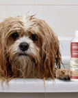 PRIDE + GROOM - DOGDAYS Conditioner Gallon