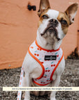 Lucy & Co. - The Cheery Cherries Reversible Harness