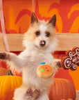 BARK Spookie Cookies Plush Dog Toy
