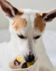 Lambwolf Collective - CREPE // ENRICHMENT DOG TOY