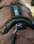 Furlou - 'Moss Green' - Sherpa Dog Harness