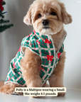 Lucy & Co. - Happy Howlidays Reversible Teddy Vest