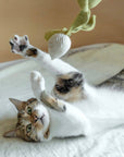 Lambwolf Collective - RADISH//CAT TOY: S/ CREAM