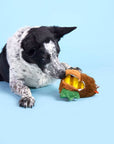 BARK Fowl Play