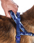 Zee.Dog - Swell | SofterWalk Harness