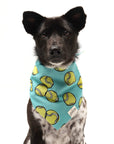 The Paws - Fetch Dog Bandana