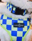 Lucy & Co. - The Have a Nice Day Collar: Small