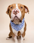 The Paws - Berry Dog Bandana