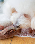 Lambwolf Collective - WINTER SNUFFLE COOKIES // HOLIDAY: NUDE