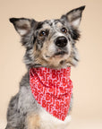 The Paws - BFF Dog Bandana