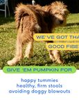 Native Pet - Pumpkin Powder Topper