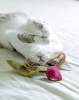 Lambwolf Collective - RADISH//CAT TOY: S/ CREAM