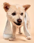 Toilet Paper Nosework Toy