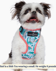 Lucy & Co. - The DinoROAR No-Pull Harness