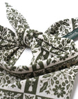 The Paws - Fernwood Dog Bandana
