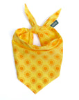The Paws - Sol Dog Bandana