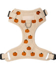 Lucy & Co. - Oh My Gourd No-Pull Harness: L