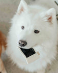 Lambwolf Collective - INSTANT CAMERA // ENRICHMENT DOG TOY