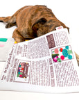 the furryfolks - Newspaper Nosework Toy