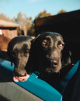 Ranger Station Wholesale - BARK RANGER SHAMPOO