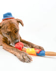 the furryfolks - Surfer Hooman Nosework Toy