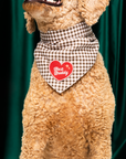Scout's Honour Pty Ltd - Best Buddy iron-on patch for dogs and cats