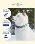 Lucy & Co. - Lucy & Co. x Parks Project Geyser Collar