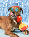 the furryfolks - Surfer Hooman Nosework Toy