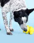 BARK Fowl Play