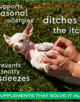 Native Pet - Allergy & Immune Chews, an Allergy & Itch Relief Supplement : 60ct